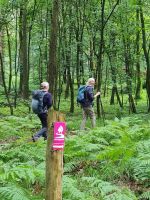 Frauenpilgern 2024008